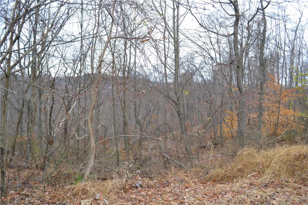 Lot 4 Ridge Road Apollo, PA 15613 - Photo 5 of 15 a backyard of a house with lots of trees