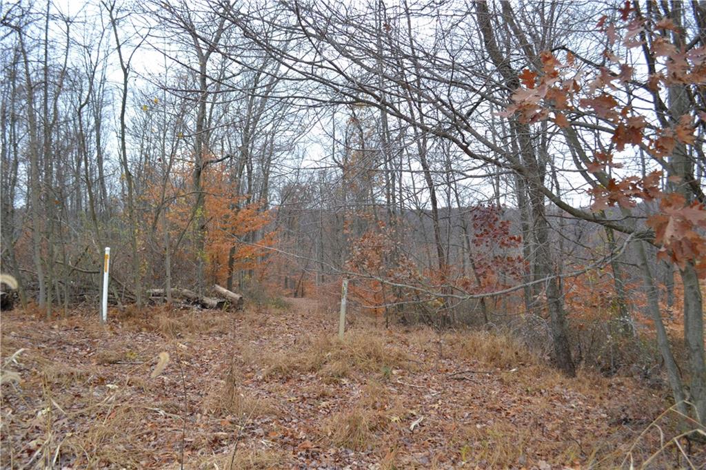 Lot 4 Ridge Road Apollo, PA 15613 - Photo 6 of 15 a backyard of a house with lots of green space