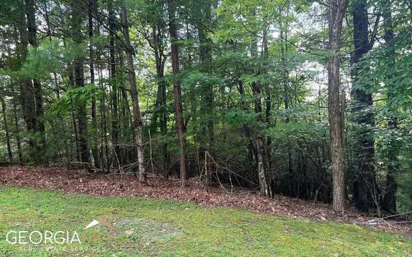 $45,000 | Lot 40 Double Knobs, Hayesville, NC 28904