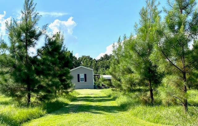 4164 Barner Road Wesson, MS 39191 - Photo 1 of 40 Main View
