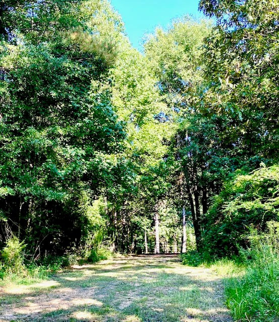 4164 Barner Road Wesson, MS 39191 - Photo 12 of 40 Photo 12