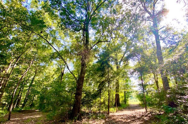4164 Barner Road Wesson, MS 39191 - Photo 14 of 40 Photo 14