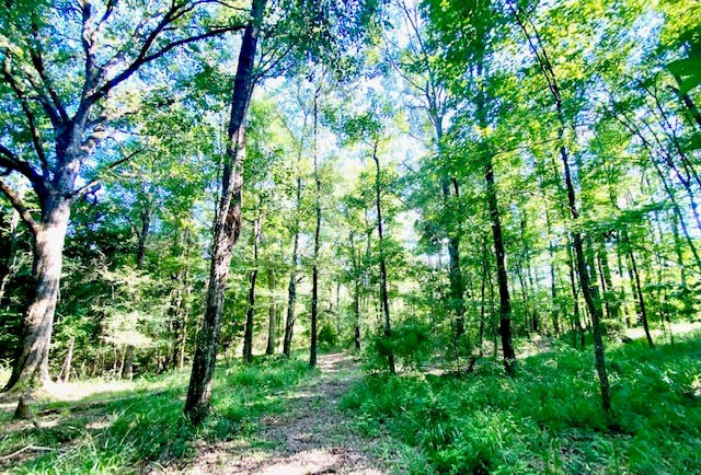 4164 Barner Road Wesson, MS 39191 - Photo 15 of 40 Photo 15