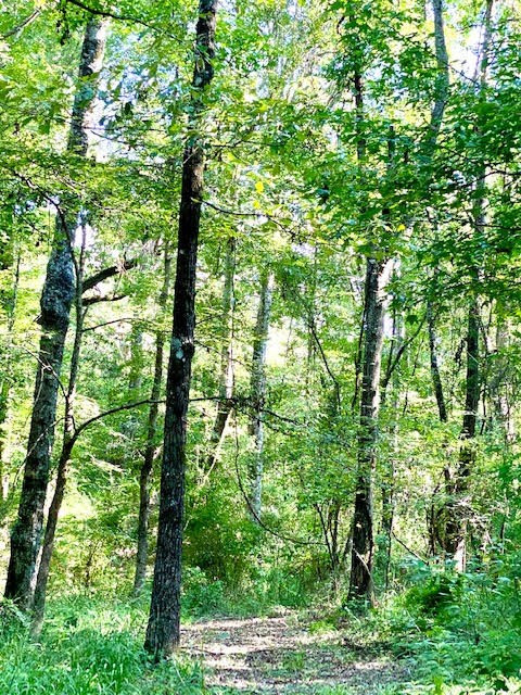 4164 Barner Road Wesson, MS 39191 - Photo 17 of 40 Photo 18