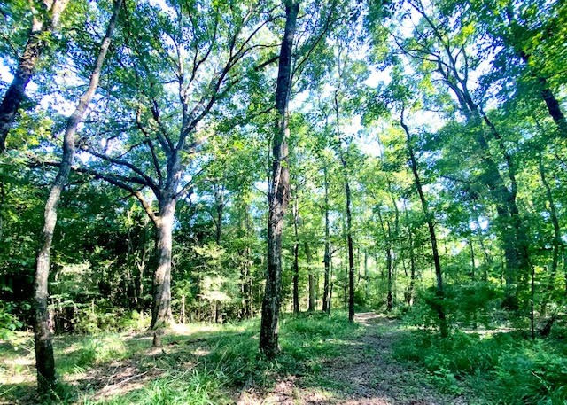 4164 Barner Road Wesson, MS 39191 - Photo 18 of 40 Photo 19