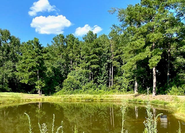 4164 Barner Road Wesson, MS 39191 - Photo 2 of 40 Photo 2