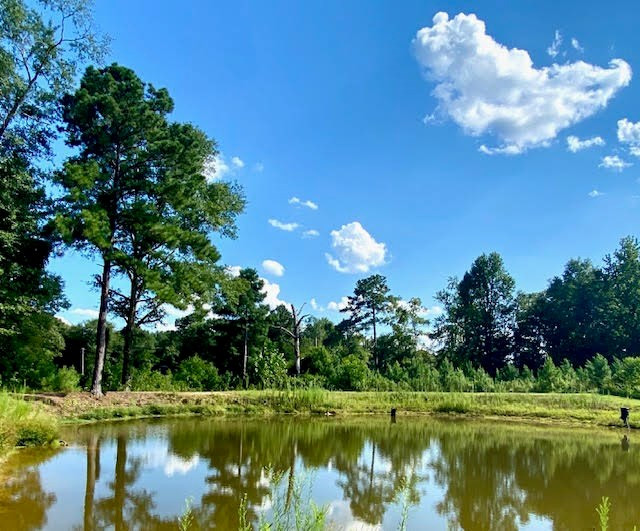 4164 Barner Road Wesson, MS 39191 - Photo 21 of 40 Photo 22