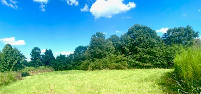 4164 Barner Road Wesson, MS 39191 - Photo 22 of 40 Photo 23