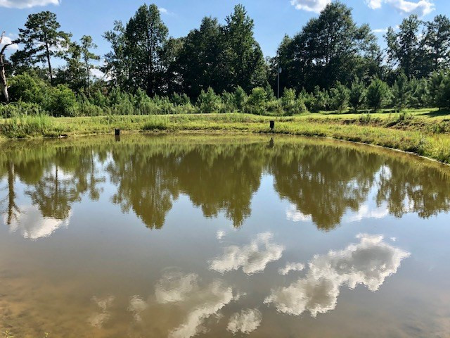 4164 Barner Road Wesson, MS 39191 - Photo 31 of 40 Photo 32