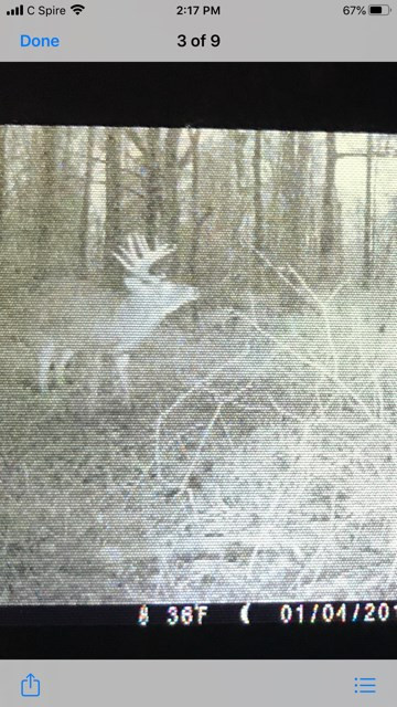 4164 Barner Road Wesson, MS 39191 - Photo 36 of 40 Photo 37
