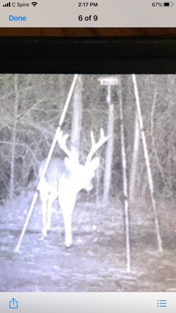 4164 Barner Road Wesson, MS 39191 - Photo 38 of 40 Photo 39