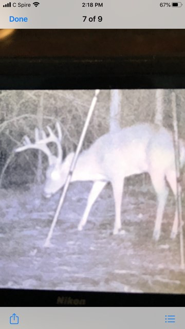 4164 Barner Road Wesson, MS 39191 - Photo 39 of 40 Photo 40