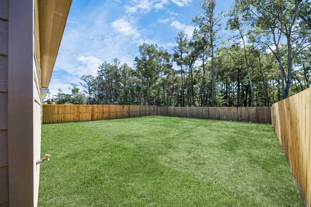 a view of a backyard with a trees