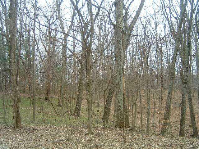 8700 Mt Nebo Road Freetown, IN 47235 - Photo 2 of 7