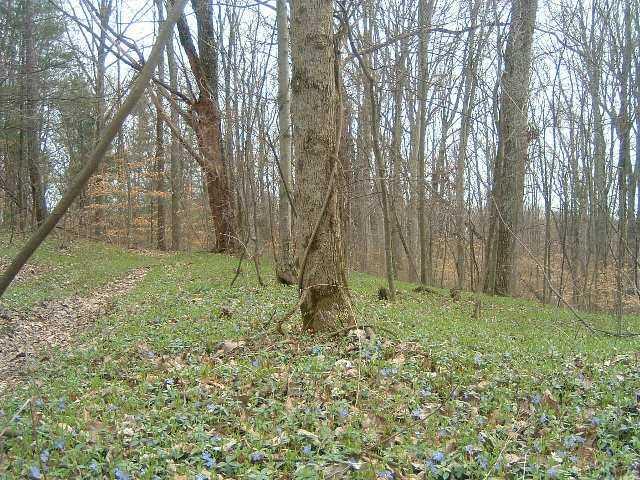 8700 Mt Nebo Road Freetown, IN 47235 - Photo 4 of 7