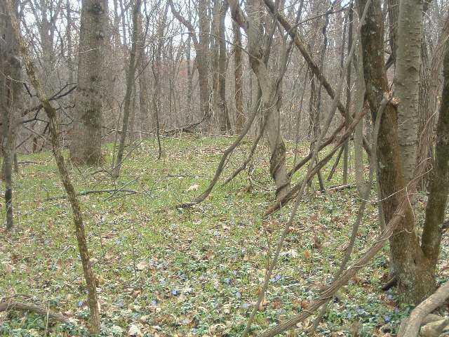 8700 Mt Nebo Road Freetown, IN 47235 - Photo 5 of 7