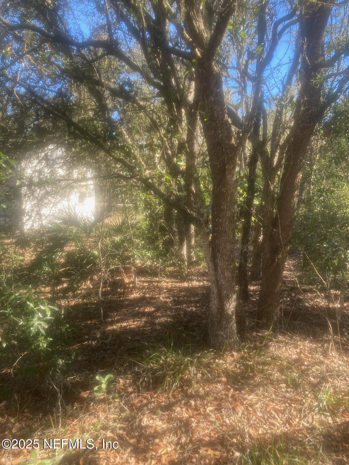 12491 Northeast 88th Lane Bronson, FL 32621 - Photo 11 of 183 2823