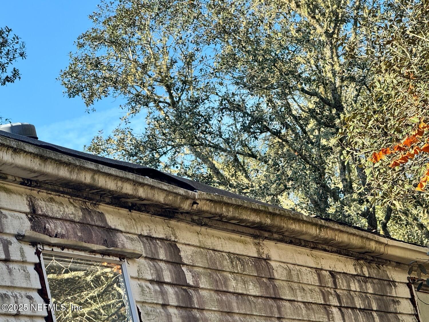 12491 Northeast 88th Lane Bronson, FL 32621 - Photo 167 of 183 Donald 33