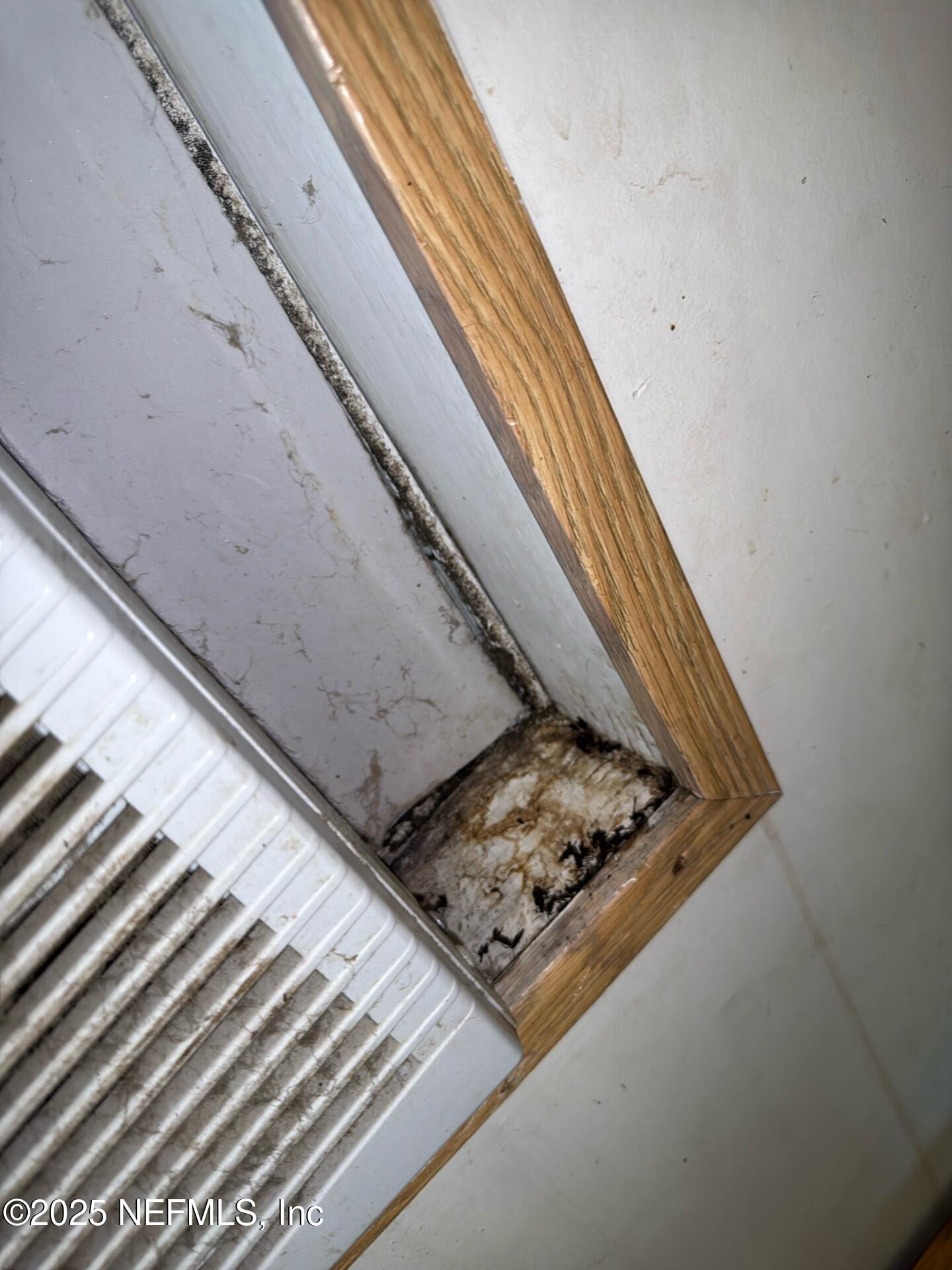 12491 Northeast 88th Lane Bronson, FL 32621 - Photo 33 of 183 Donald 139