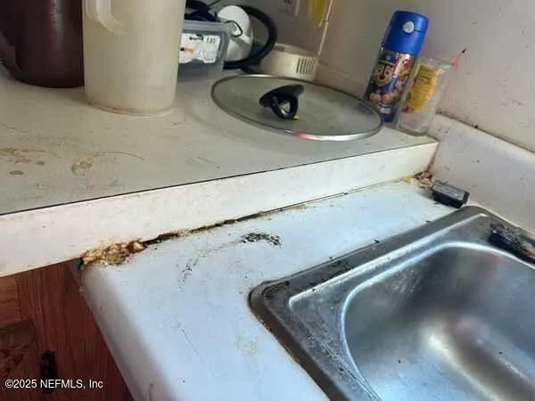 a view of a back yard