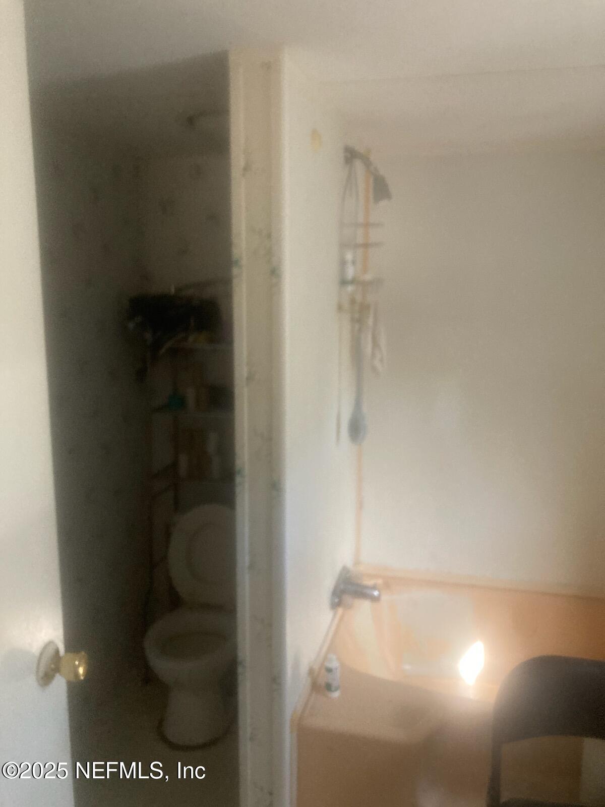 12491 Northeast 88th Lane Bronson, FL 32621 - Photo 10 of 183 a bathroom with a bathtub