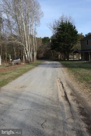 a view of road with trees