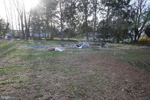 a view of a tree in the middle of a yard