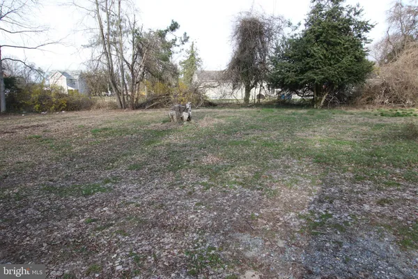 a view of outdoor space with trees