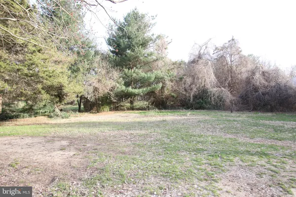 a view of a field with trees in the background