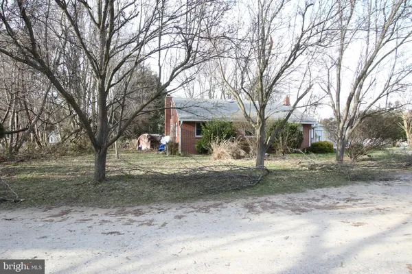 a view of a tree in the middle of a yard