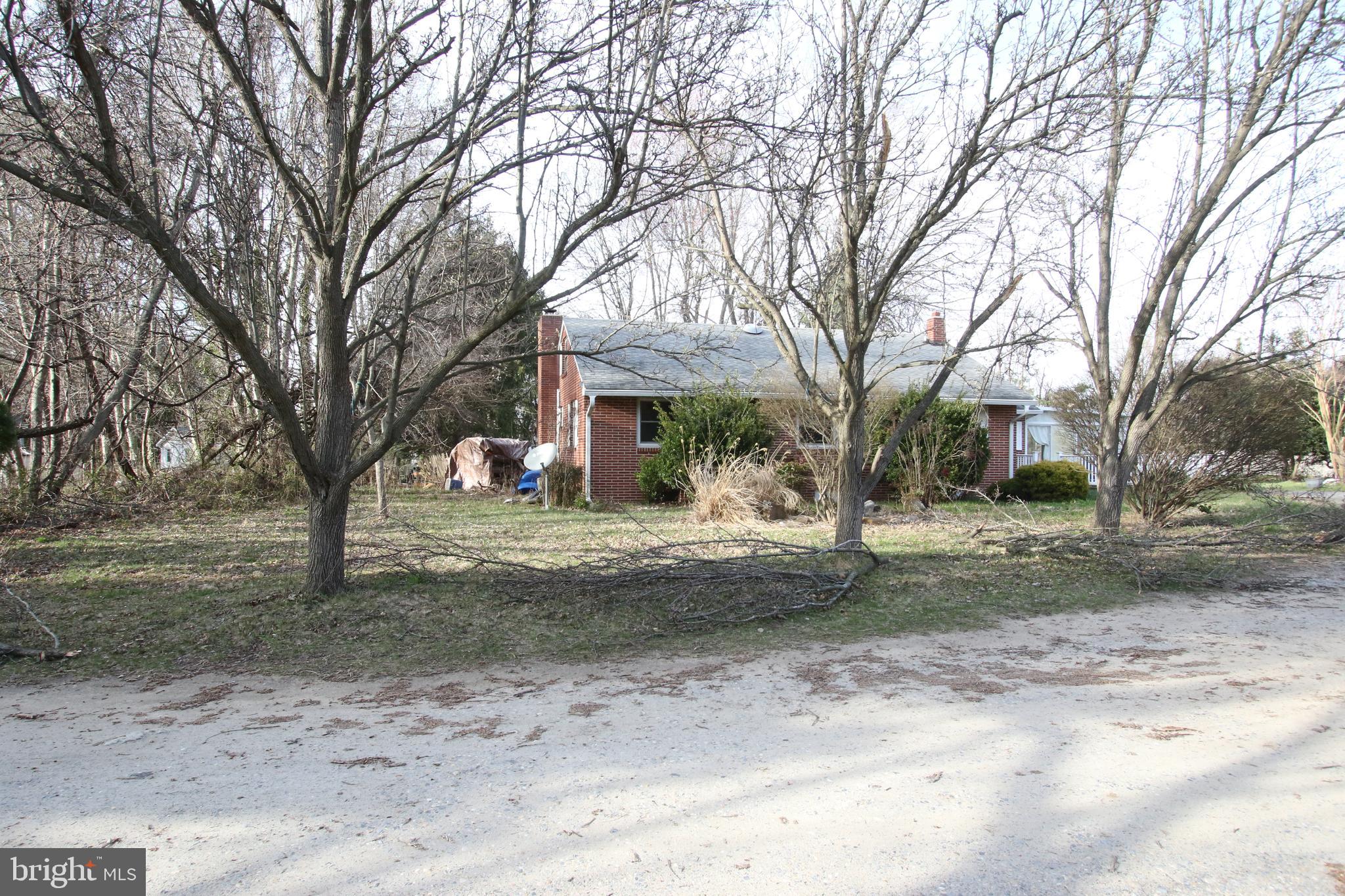 3576 Walnut Shade Road Camden Wyoming, DE 19934 - Photo 4 of 37 a view of a tree in the middle of a yard