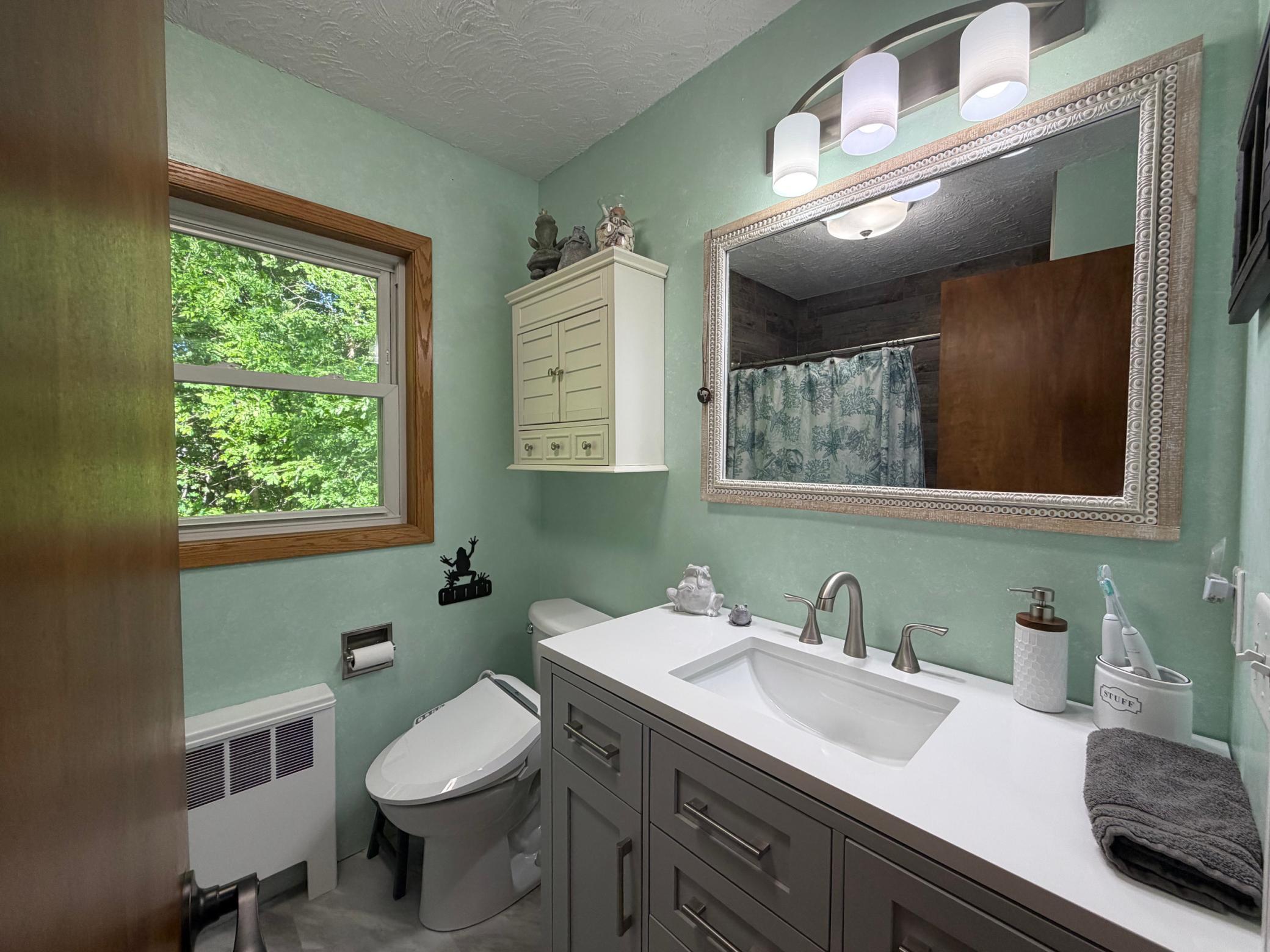 31265 Eagle Lake Road Frazee, MN 56544 - Photo 26 of 80
