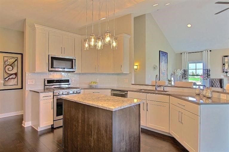 8732 Sapphire Way Crown Point, IN 46307 - Photo 7 of 29 767x510