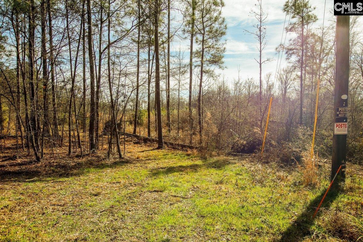 561 Church Road Batesburg, SC 29006 - Photo 4 of 24