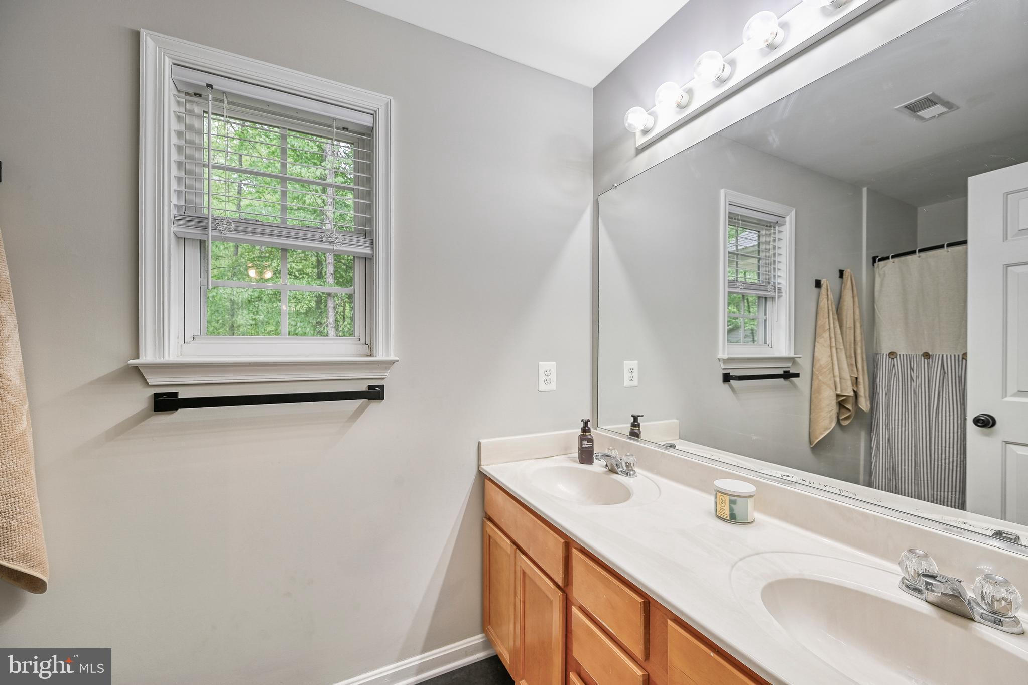 3605 Burton Road Bumpass, VA 23024 - Photo 19 of 39 a bathroom with a double vanity sink and a mirror