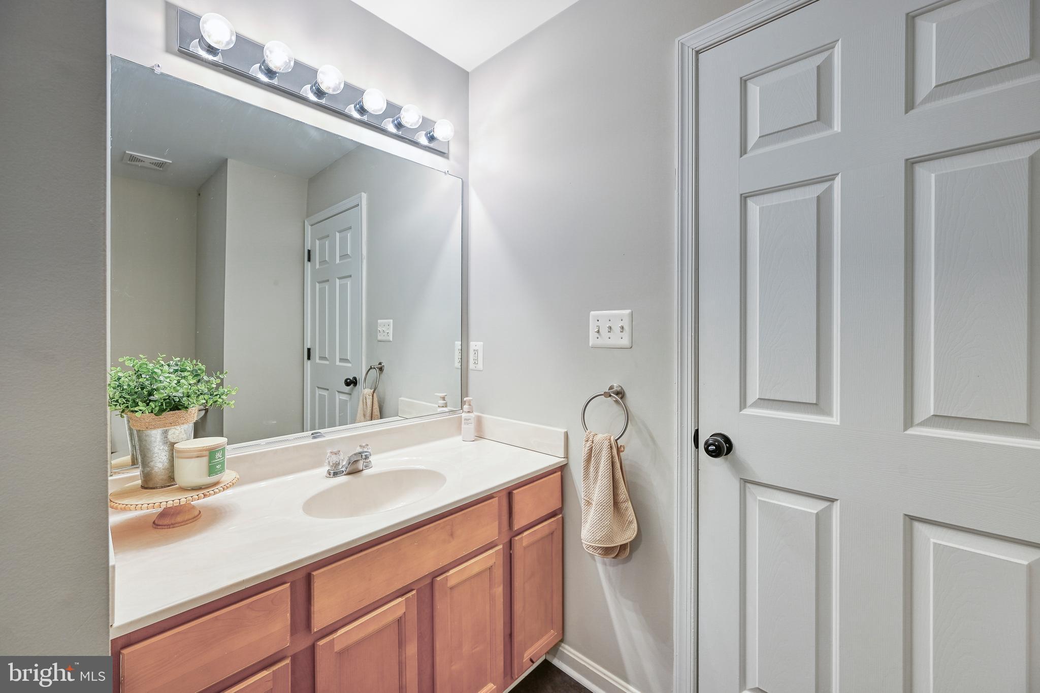 3605 Burton Road Bumpass, VA 23024 - Photo 26 of 39 a bathroom with a sink and a mirror