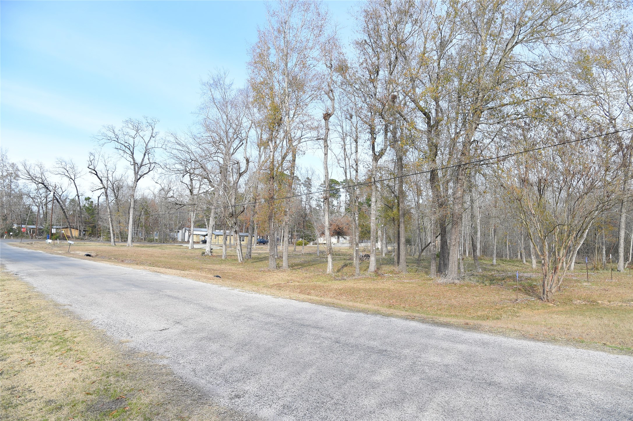 View from Armadillo looking northeast toward Big Hawg Dr
