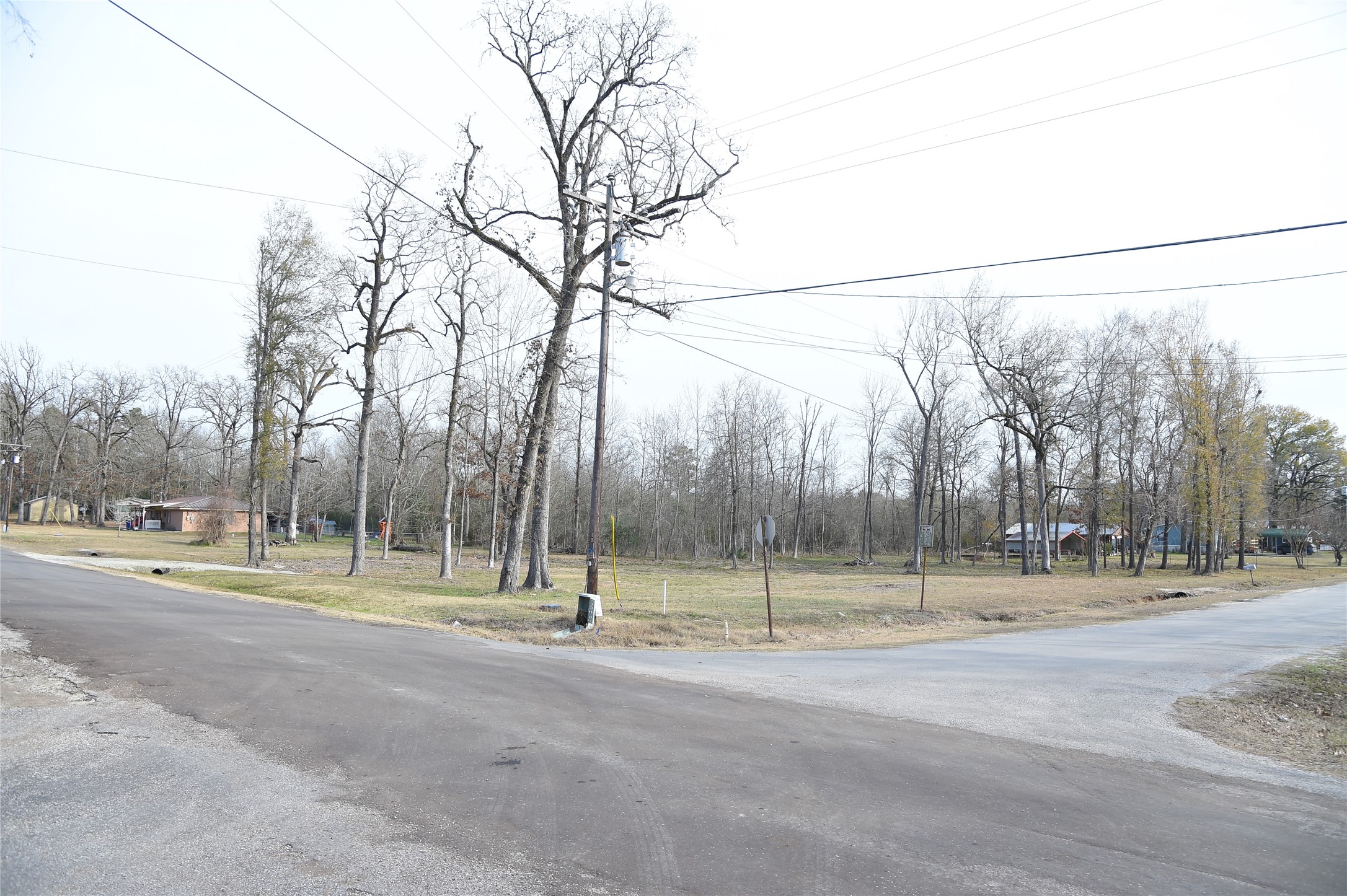 0 Armadillo Rd. Drive Trinity, TX 75862 - Photo 5 of 7 View looking Southeast from the intersection of Big Hawg Dr and Armadillo