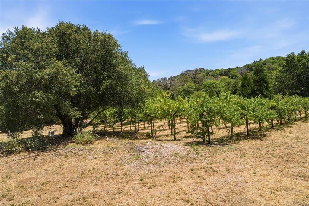 6911 Engineers Road Julian, CA 92036 - Photo 37 of 47
