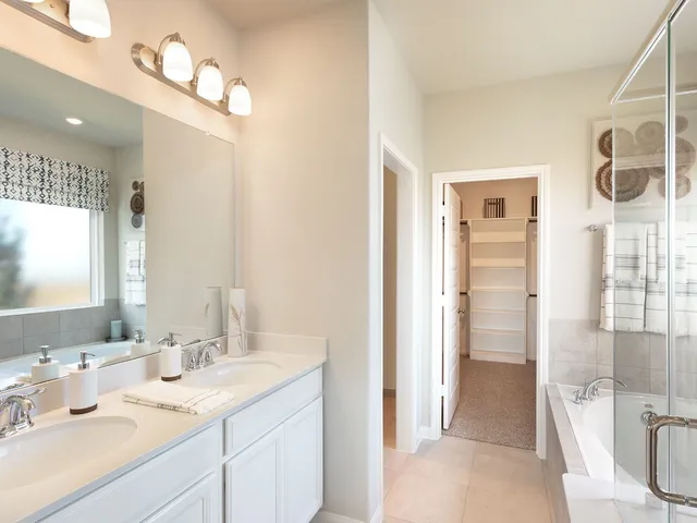 a bathroom with a double vanity sink mirror and shower