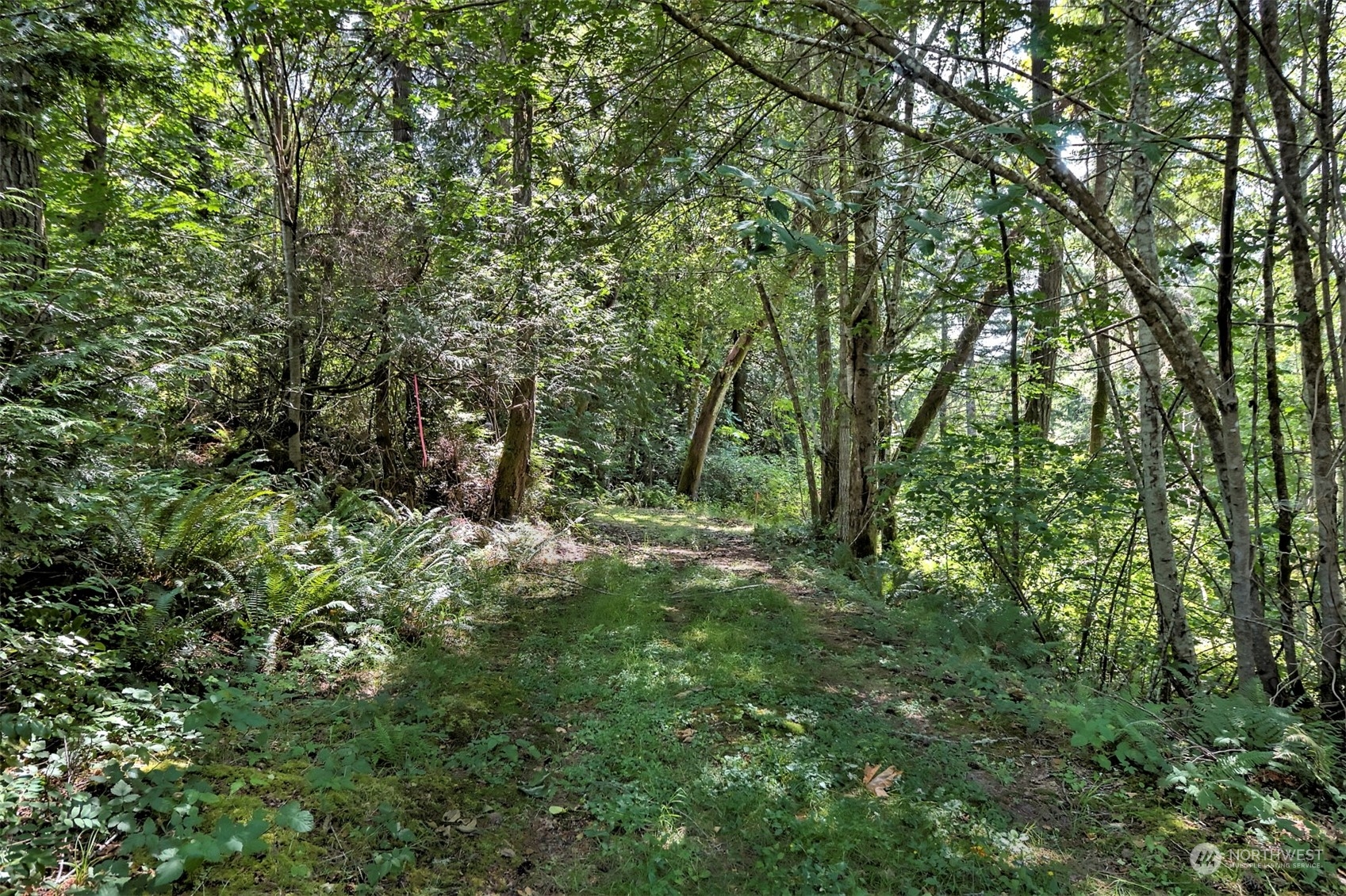 601 East Benson Loop Road Shelton, WA 98584 - Photo 22 of 25 Gallery Image 22