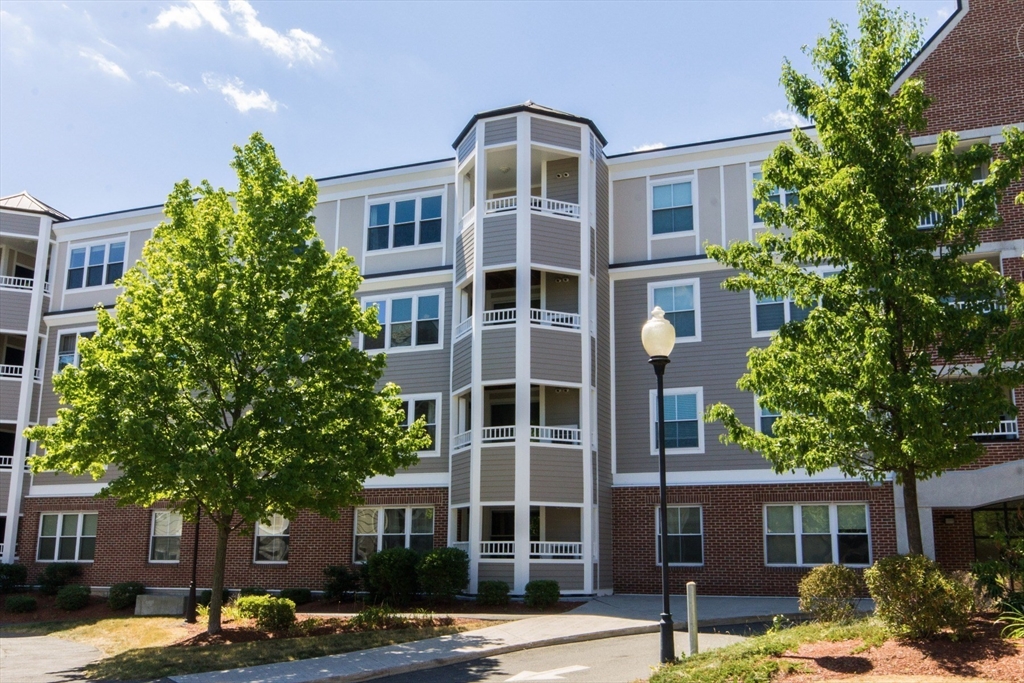 318 Rindge Avenue, Unit 304 Cambridge, MA 02140 - Photo 21 of 27