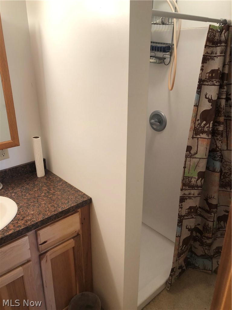 47355 Cat's Run Road Beallsville, OH 43716 - Photo 23 of 29 Gallery Image 23