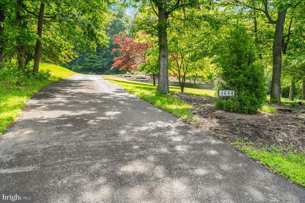 4644 Old Swimming Pool Road Braddock Heights, MD 21714 - Photo 2 of 60 a view of a yard with plants and large trees