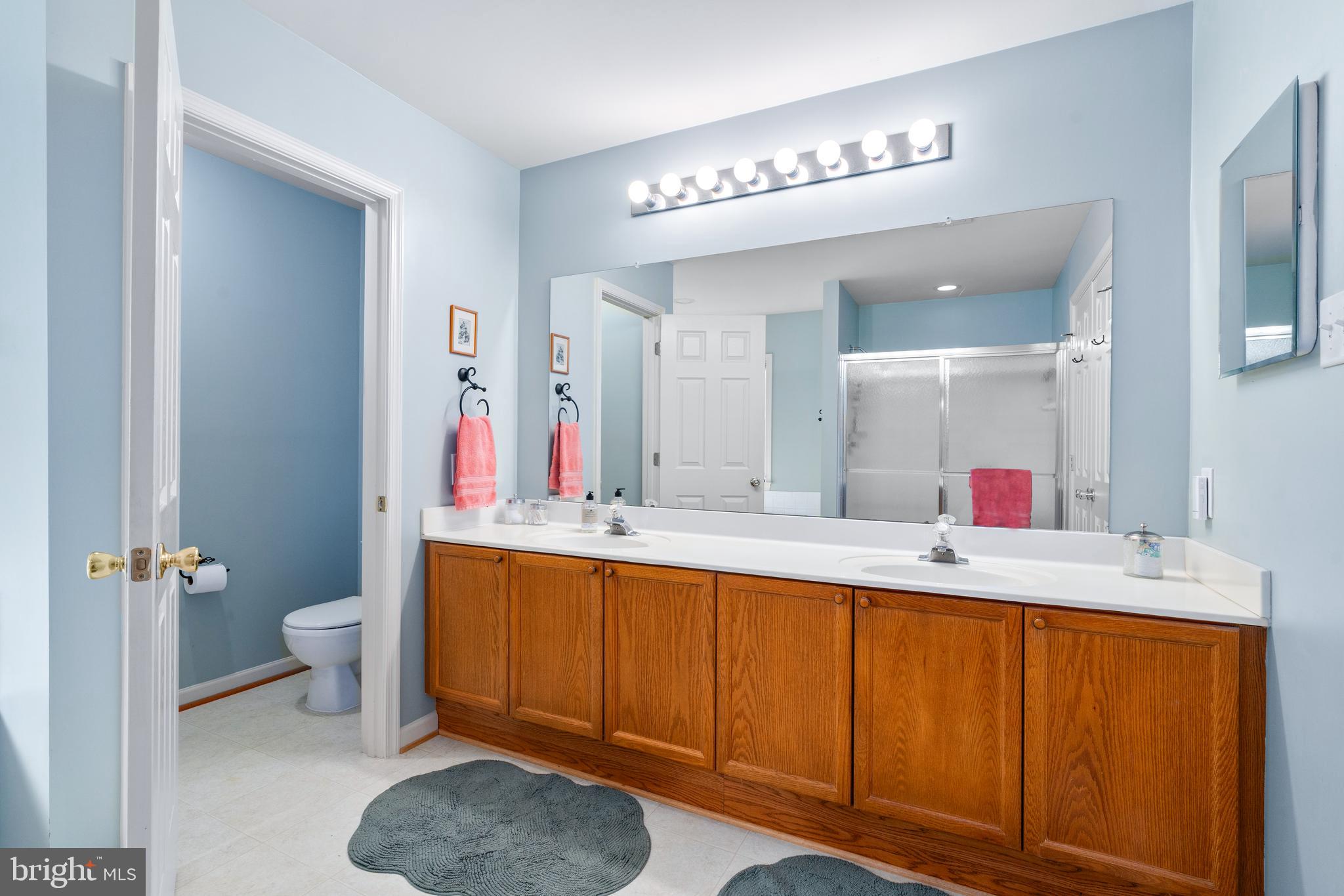 4644 Old Swimming Pool Road Braddock Heights, MD 21714 - Photo 30 of 60 a bathroom with a toilet a sink and a mirror