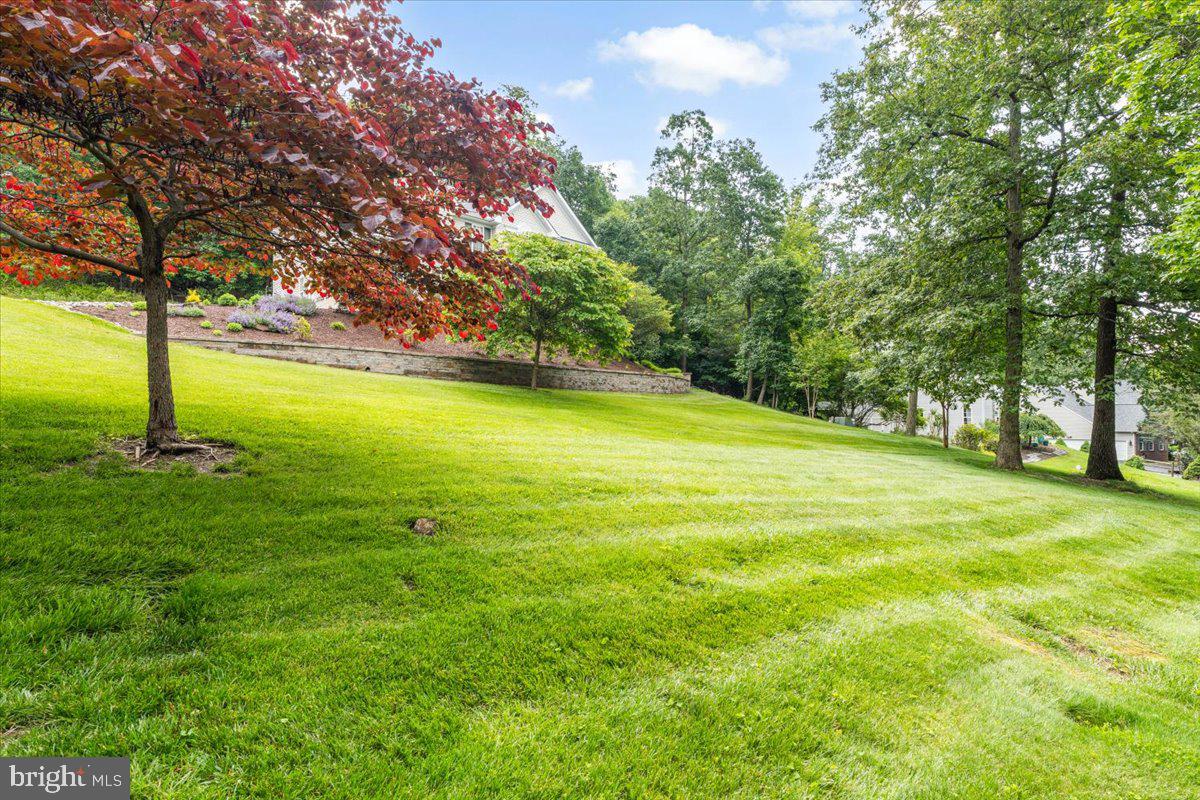 4644 Old Swimming Pool Road Braddock Heights, MD 21714 - Photo 49 of 60