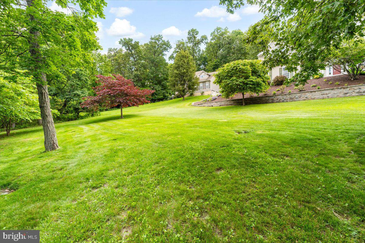 4644 Old Swimming Pool Road Braddock Heights, MD 21714 - Photo 50 of 60