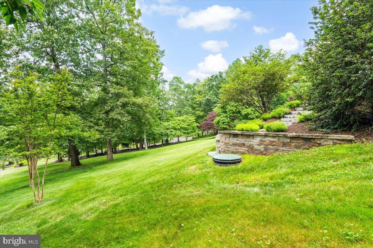 4644 Old Swimming Pool Road Braddock Heights, MD 21714 - Photo 53 of 60 a view of an outdoor space and a yard