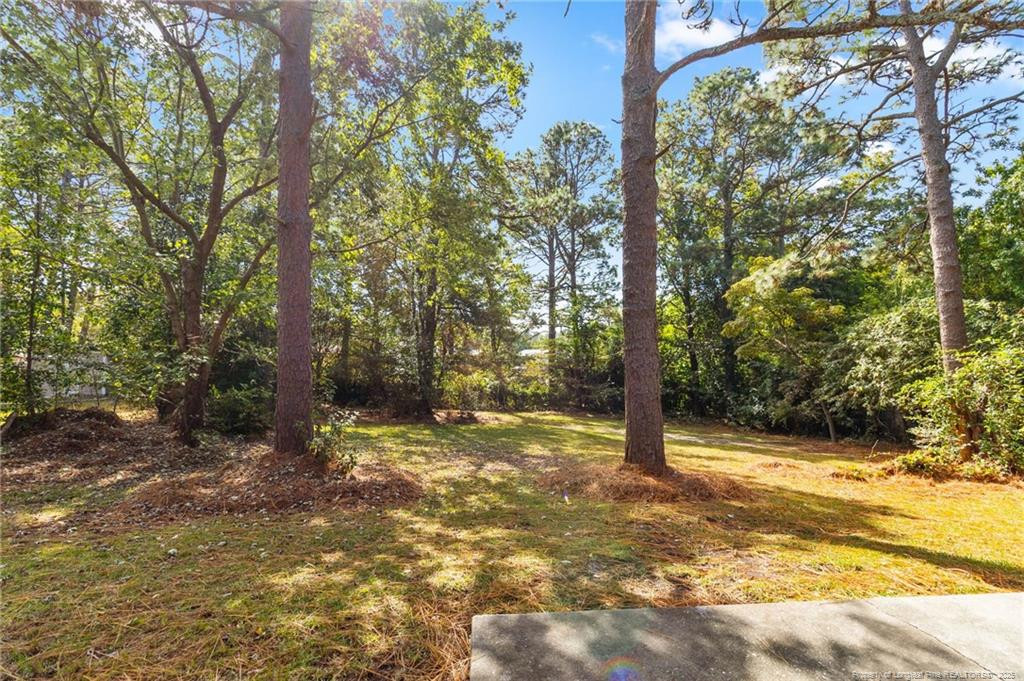 161 Summerhill Road Fayetteville, NC 28303 - Photo 32 of 36 a view of a trees with yard