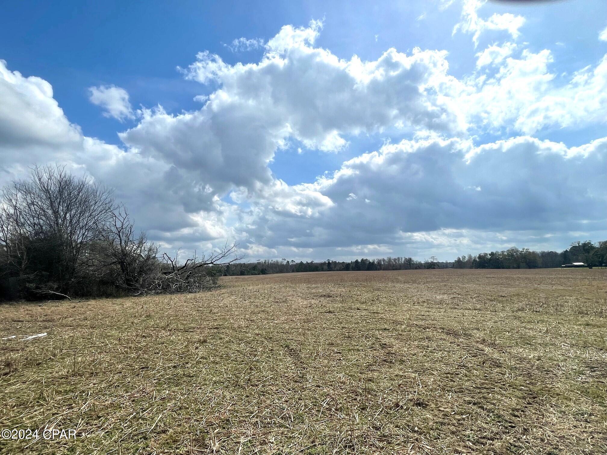335-acres R M Ward Road Ponce de Leon, FL 32455 - Photo 16 of 37 Gallery Image 16